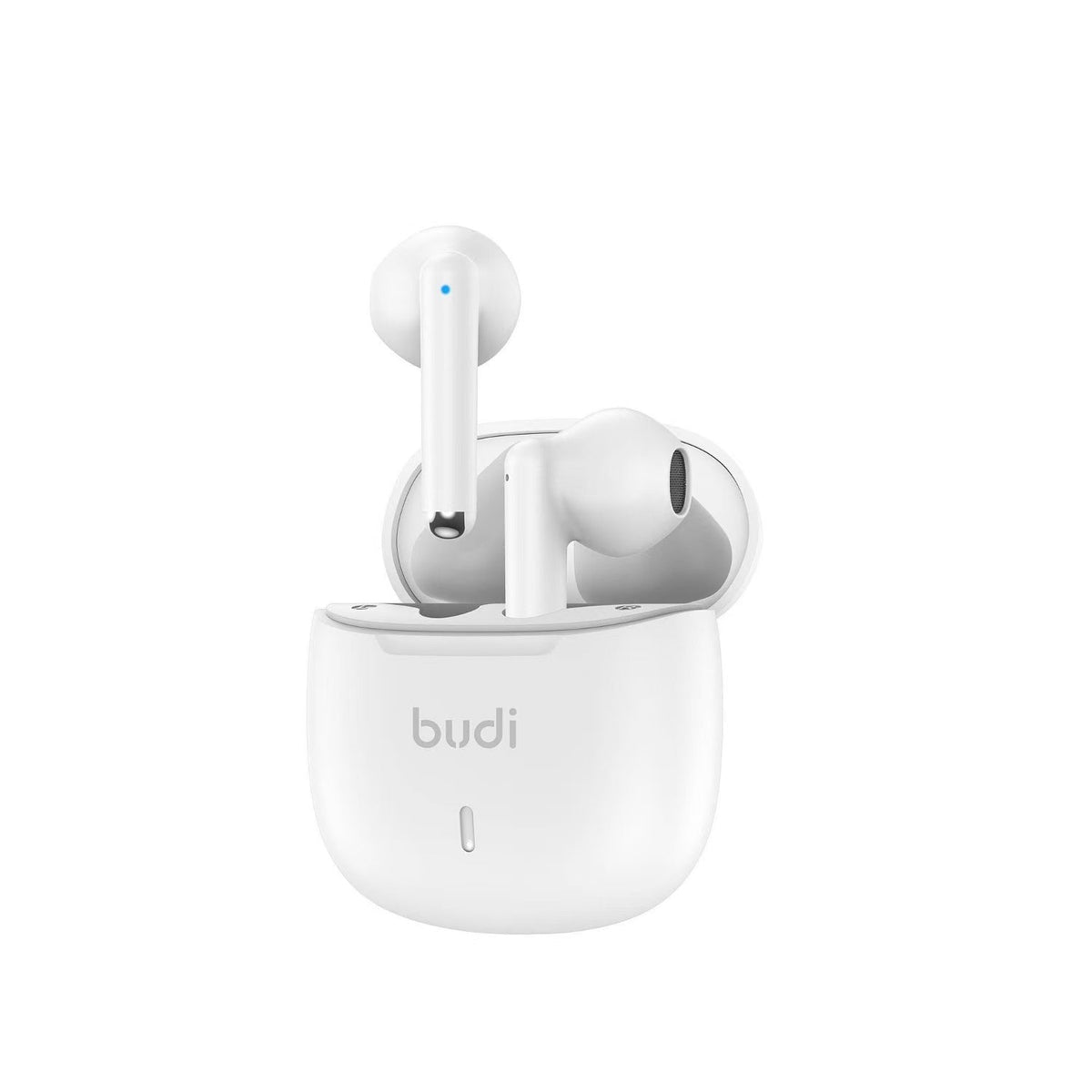 budi Buds – view 4