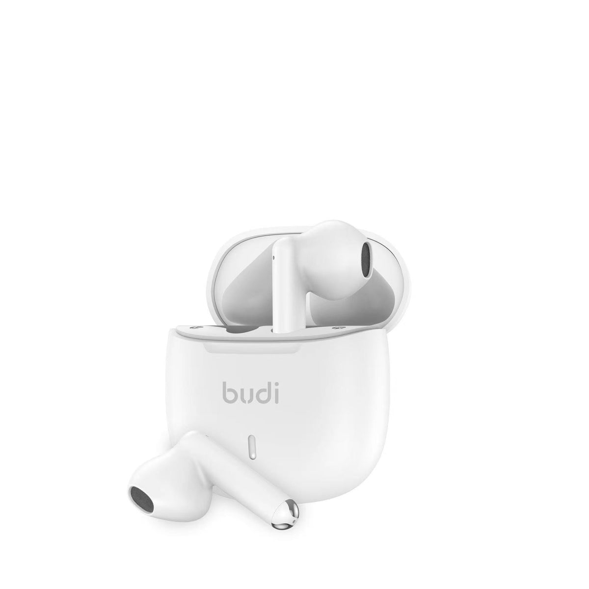 budi Buds – view 3